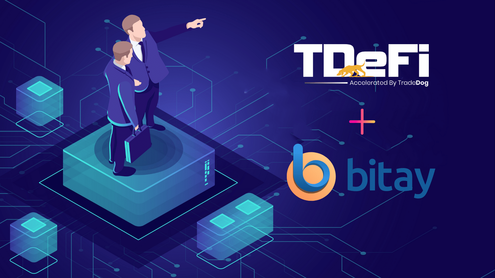 TDeFi onboards Bitay, a Turkish Crypto Exchange in its ...